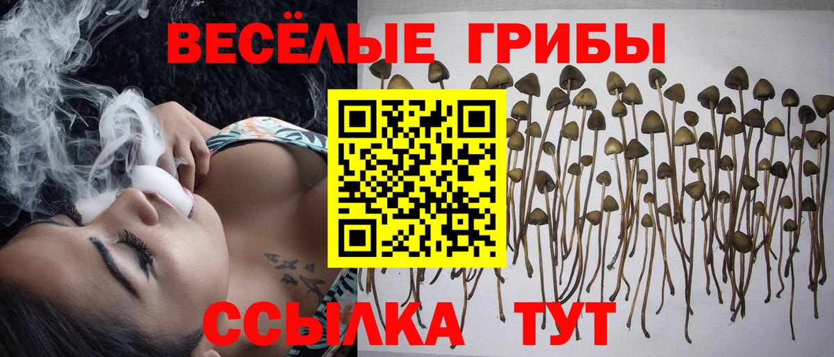 Галлюциногенные грибы GOLDEN TEACHER  Белая Калитва 
